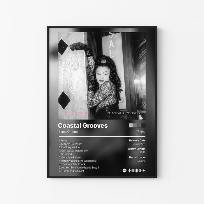Blood Orange Coastal Grooves Album Poster