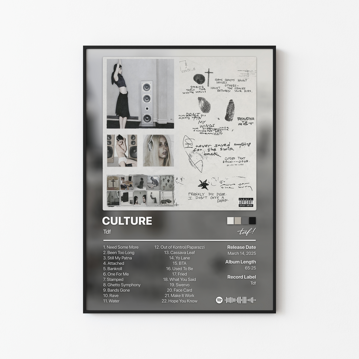 Tdf CULTURE Album Poster