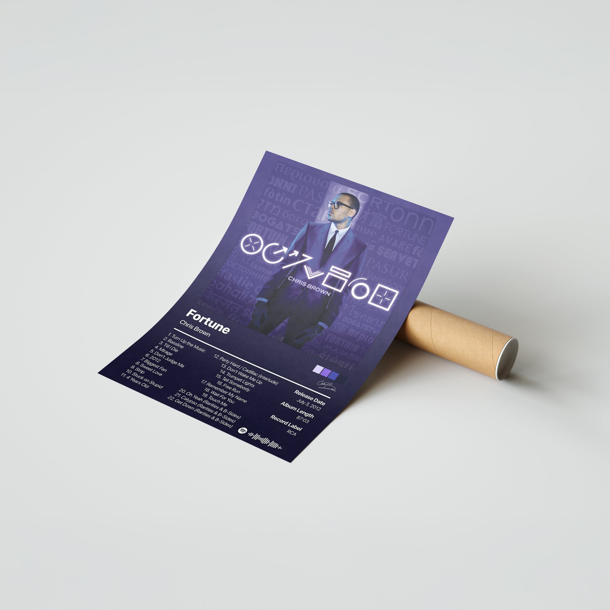 Chris Brown Fortune Album Poster