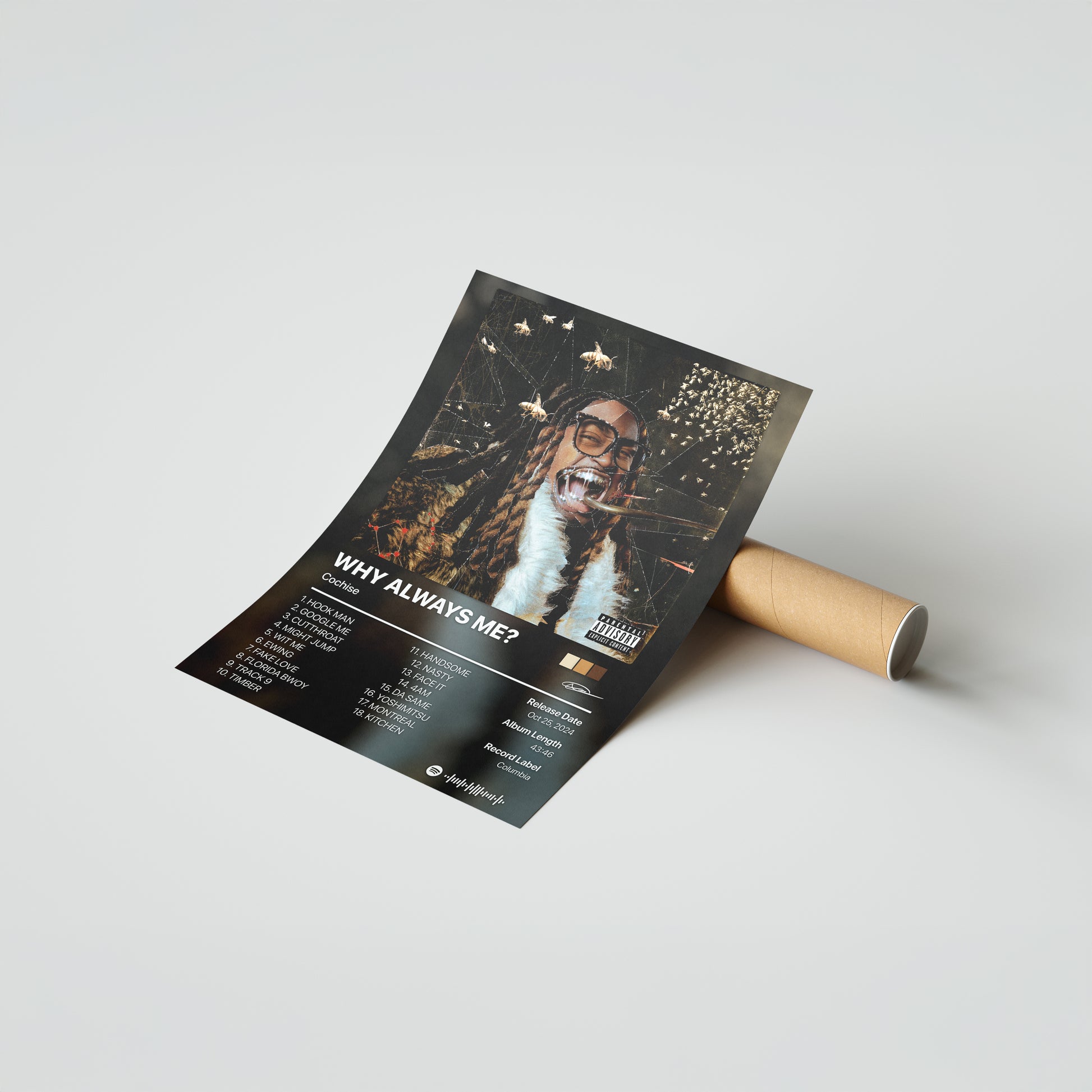 Cochise WHY ALWAYS ME? Album Poster