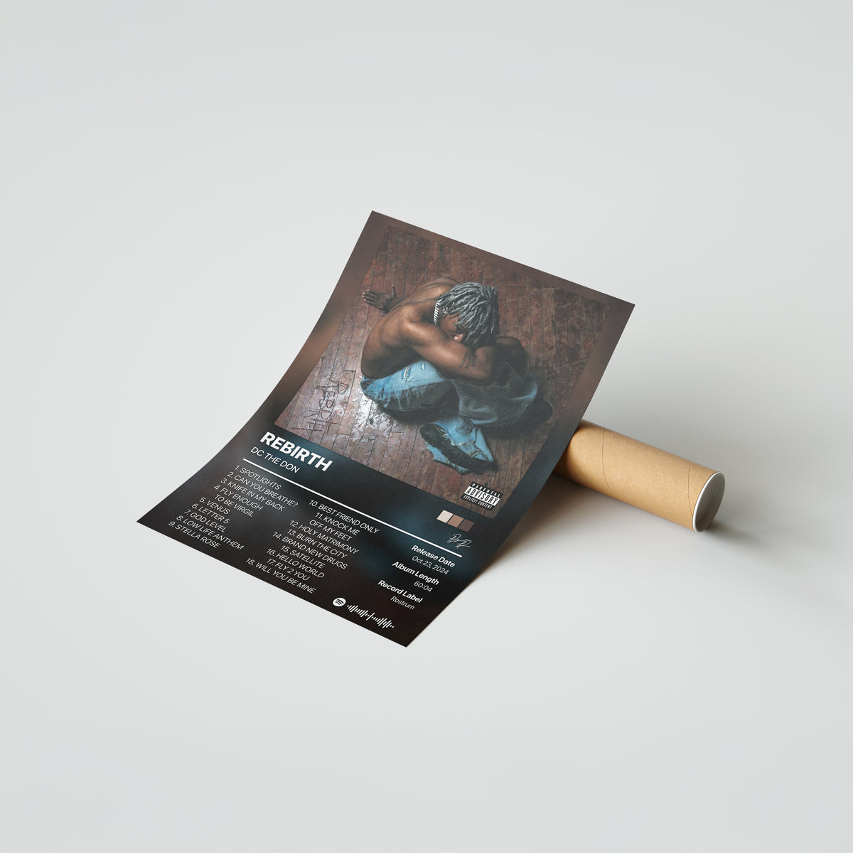 DC THE DON REBIRTH Album Poster