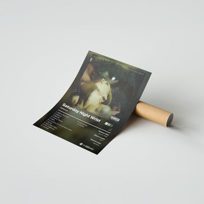 Deftones Saturday Night Wrist Album Poster