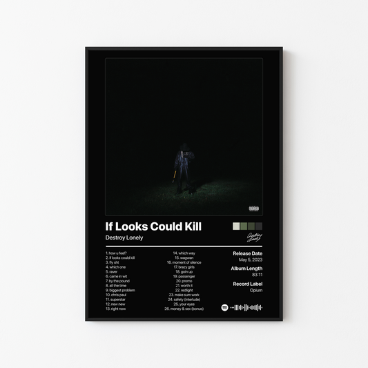 Destroy Lonely If Looks Could Kill Album Poster