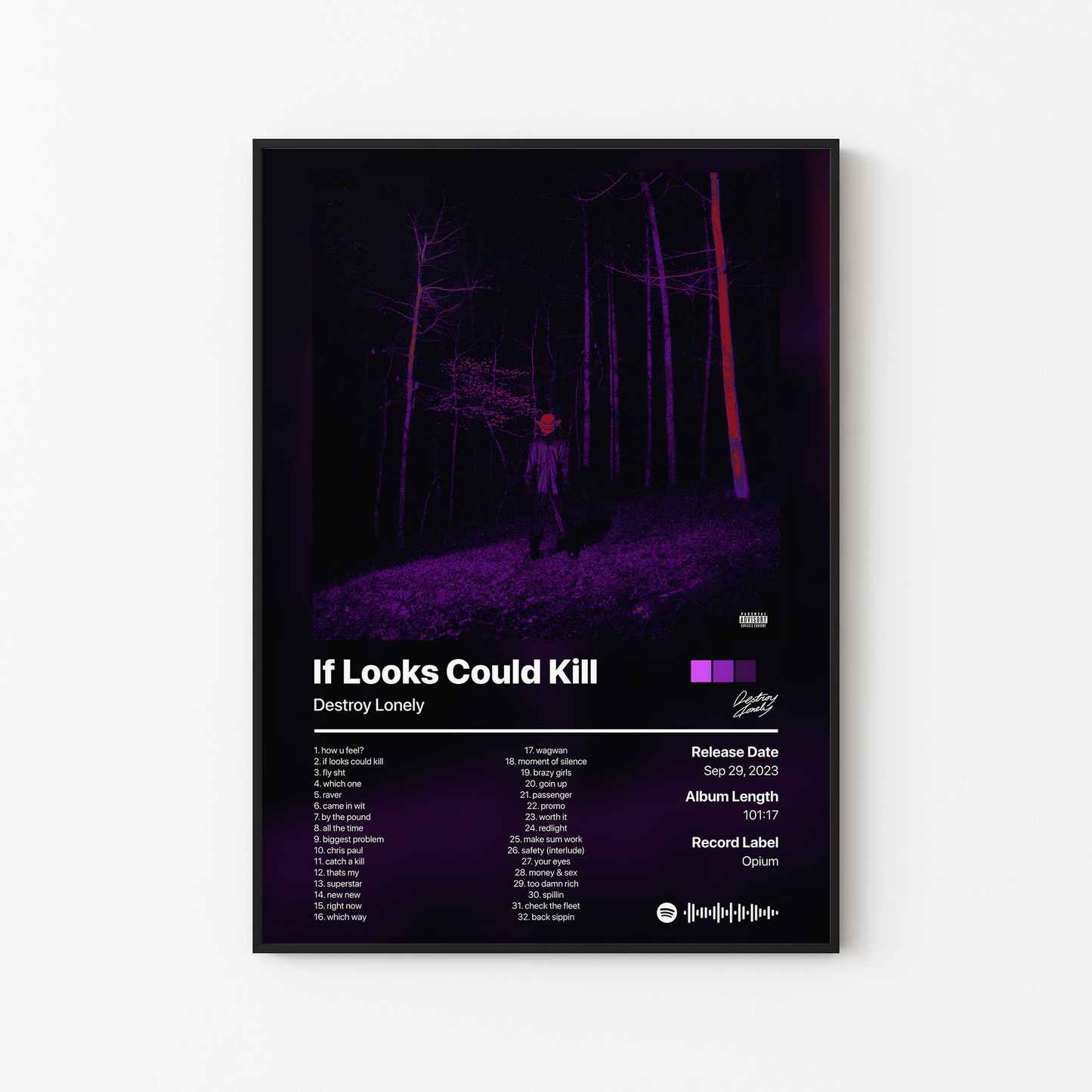 Destroy Lonely If Looks Could Kill (Directors Cut) Album Poster
