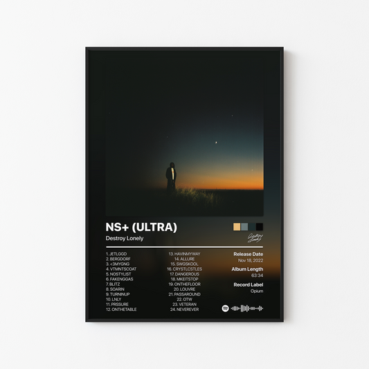 Destroy Lonely NO STYLIST (ULTRA) Album Poster