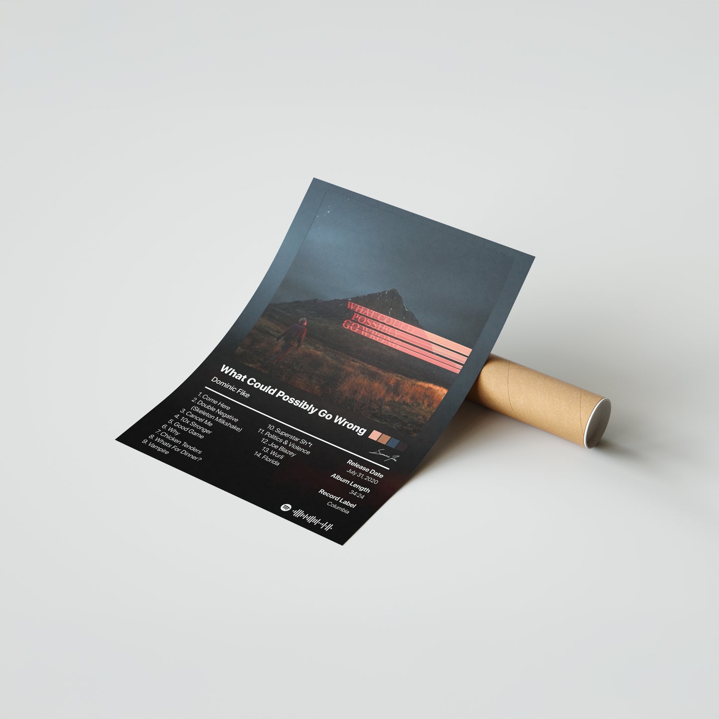 Dominic Fike What Could Possibly Go Wrong Album Poster