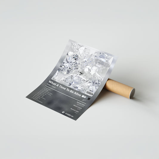 Drake What A Time To Be Alive Album Poster
