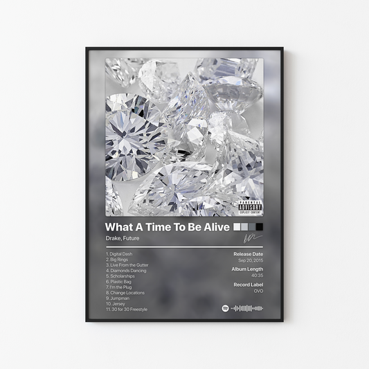 Drake What A Time To Be Alive Album Poster