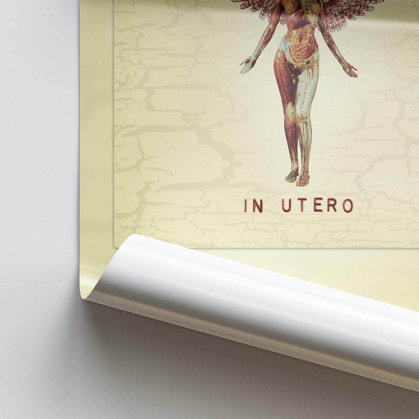 Nirvana In Utero Album Poster