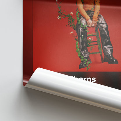 d4vd Petals to Thorns Album Poster