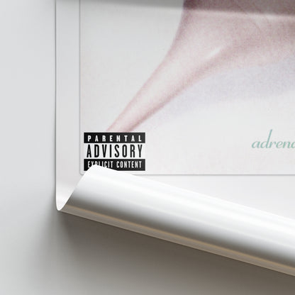 Deftones Adrenaline Album Poster