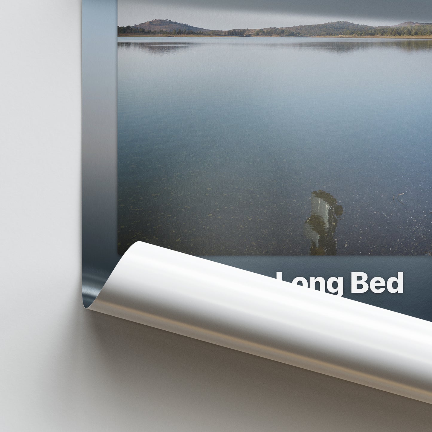 Post Malone F-1 Trillion: Long Bed Album Poster