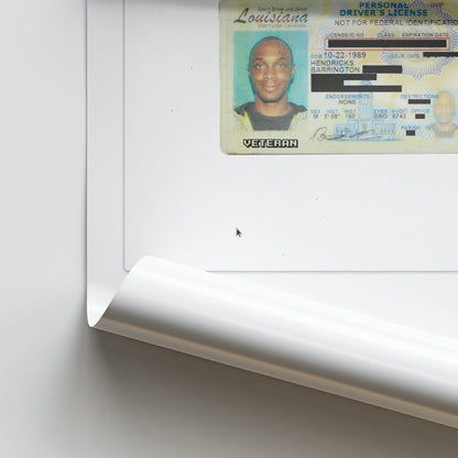 JPEGMAFIA Veteran: Director's Cut Album Poster