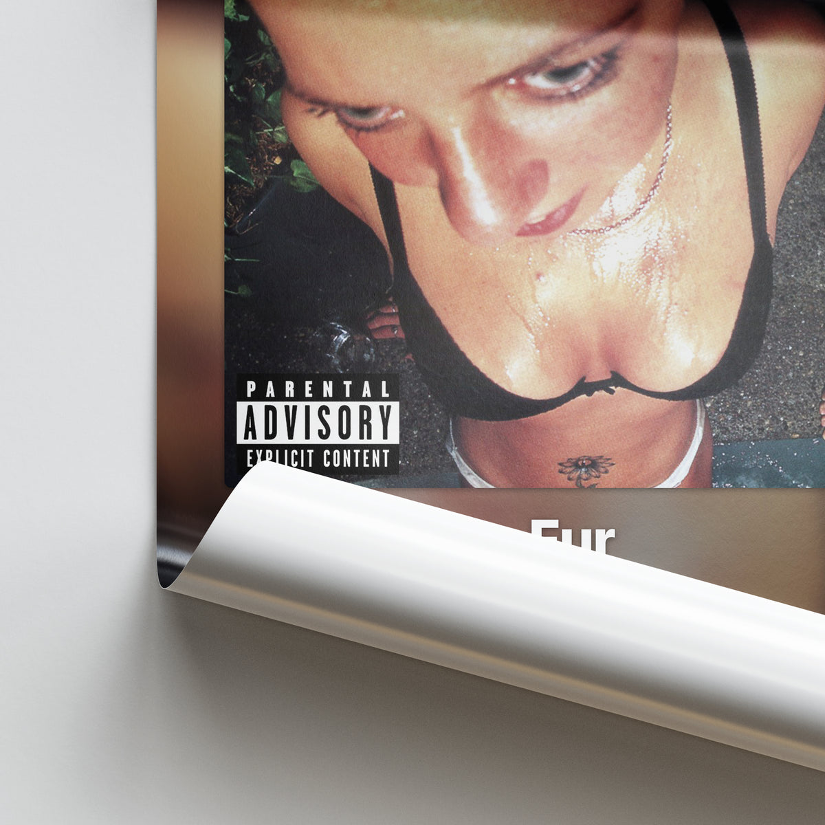 Deftones Around the Fur Album Poster
