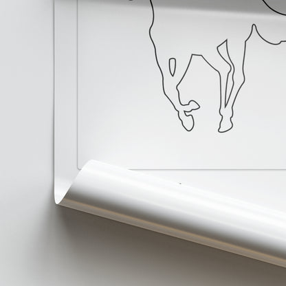 Deftones White Pony Album Poster