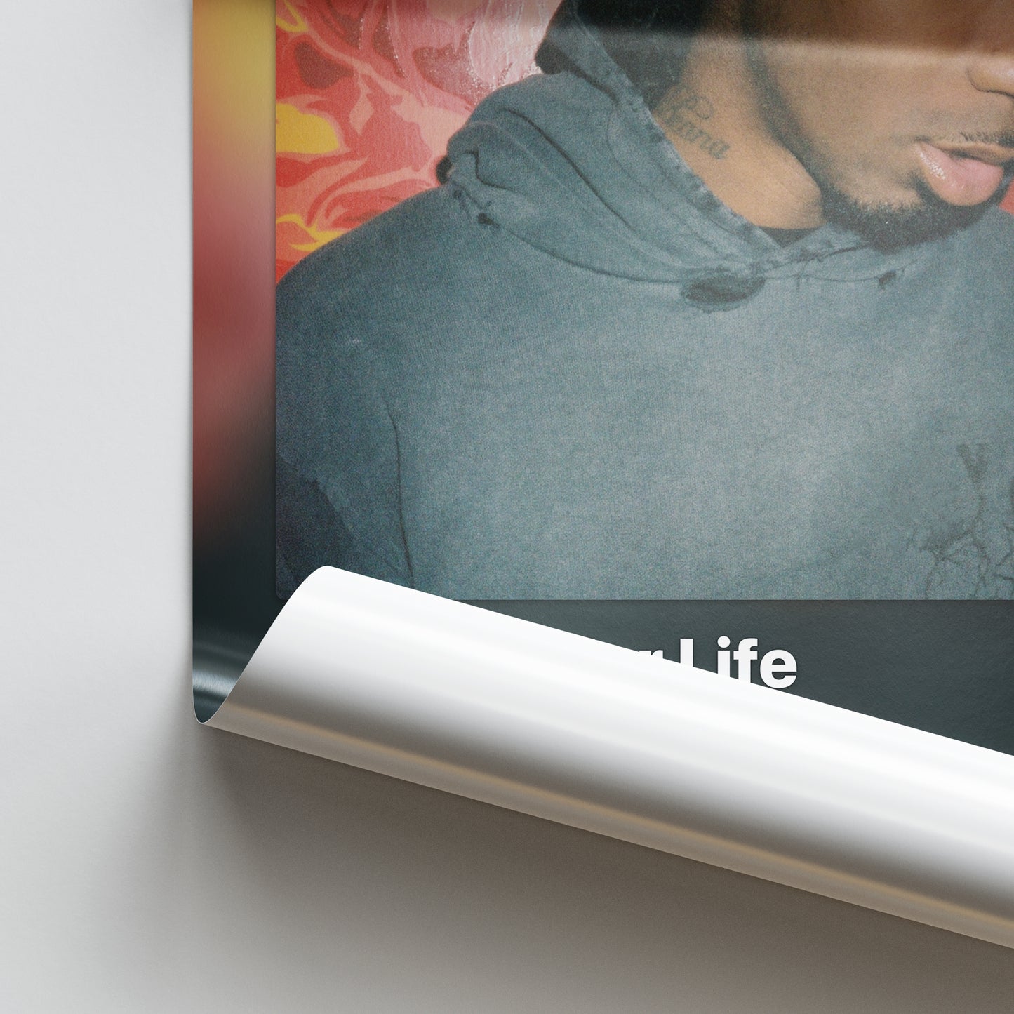 Protect Ball Hog For Life Album Poster