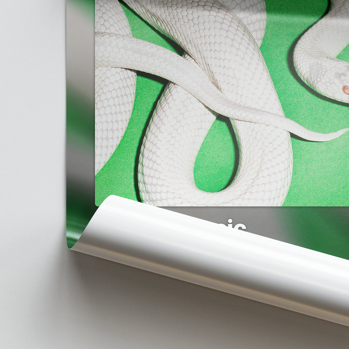 Deftones private music Album Poster