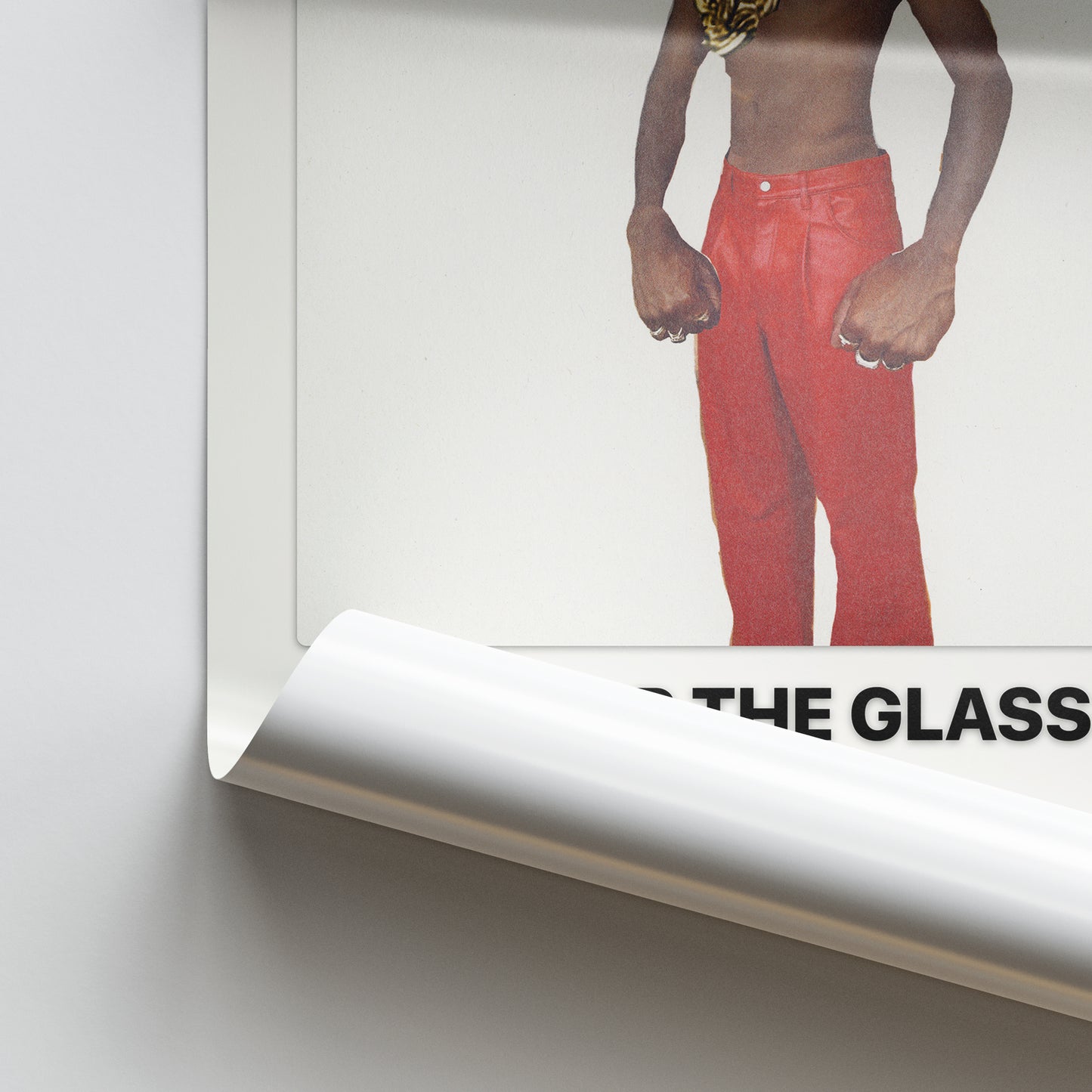 Tyler, The Creator DON'T TAP THE GLASS Album Poster