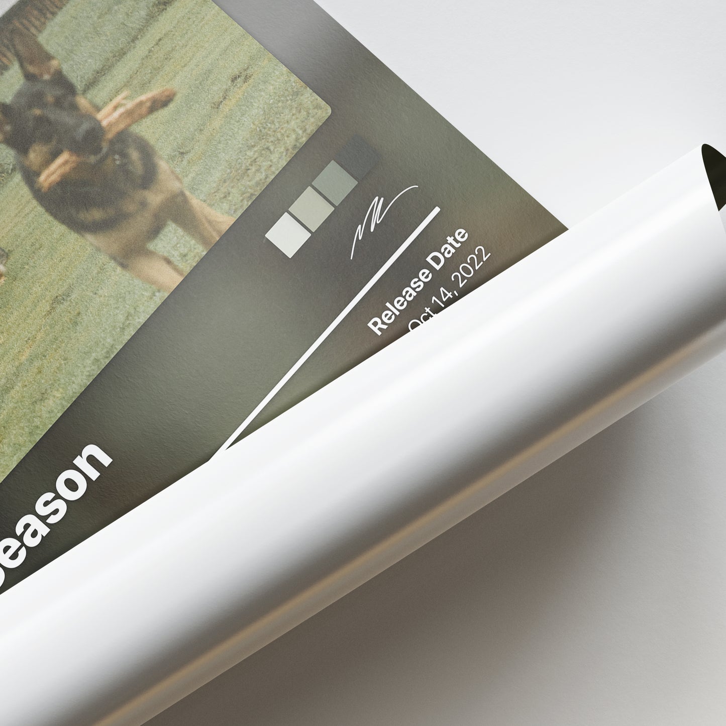 Noah Kahan Stick Season Album Poster