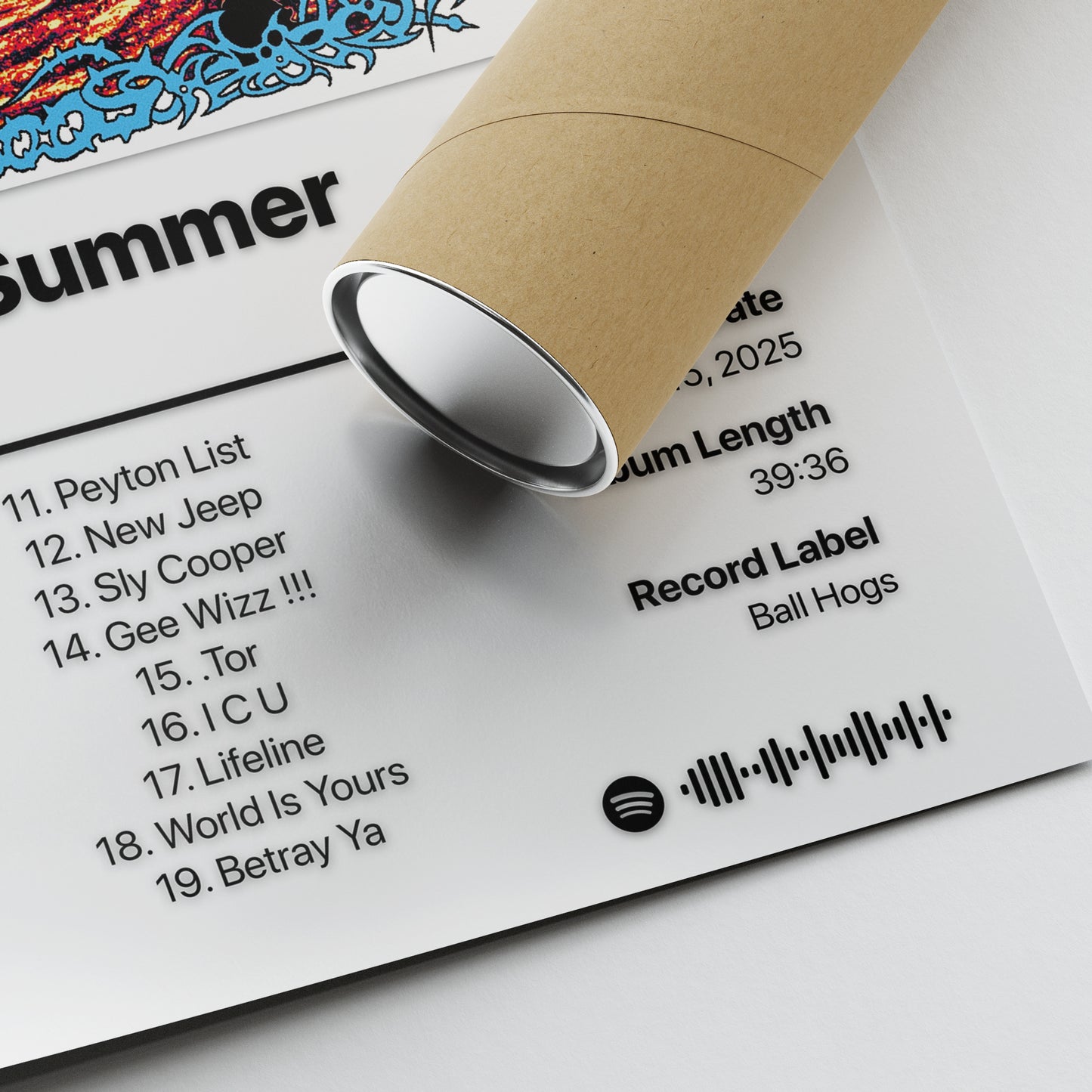 Protect 500 Days of Summer Album Poster