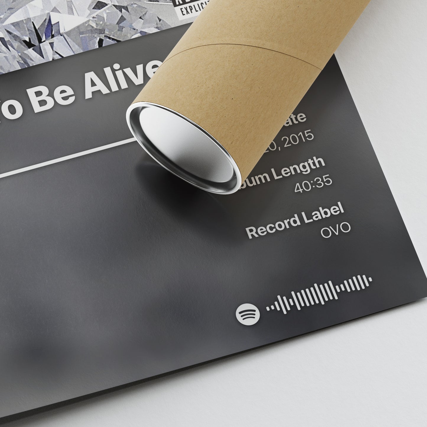 Drake What A Time To Be Alive Album Poster