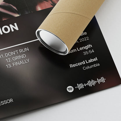Cochise THE INSPECTION Album Poster