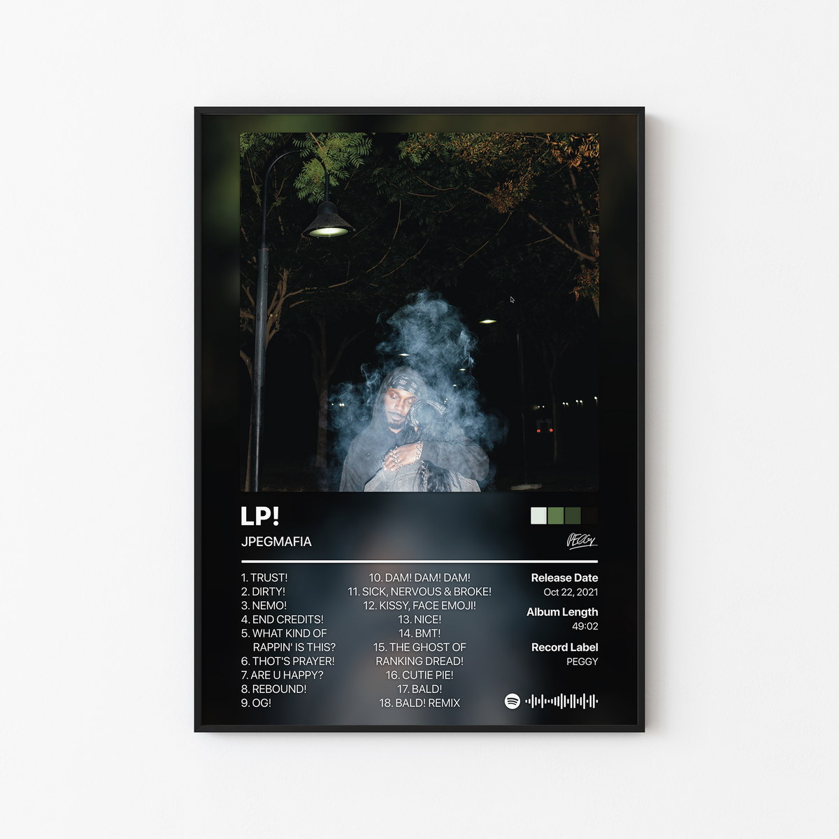 JPEGMAFIA LP! Album Poster