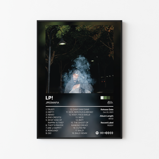 JPEGMAFIA LP! Album Poster