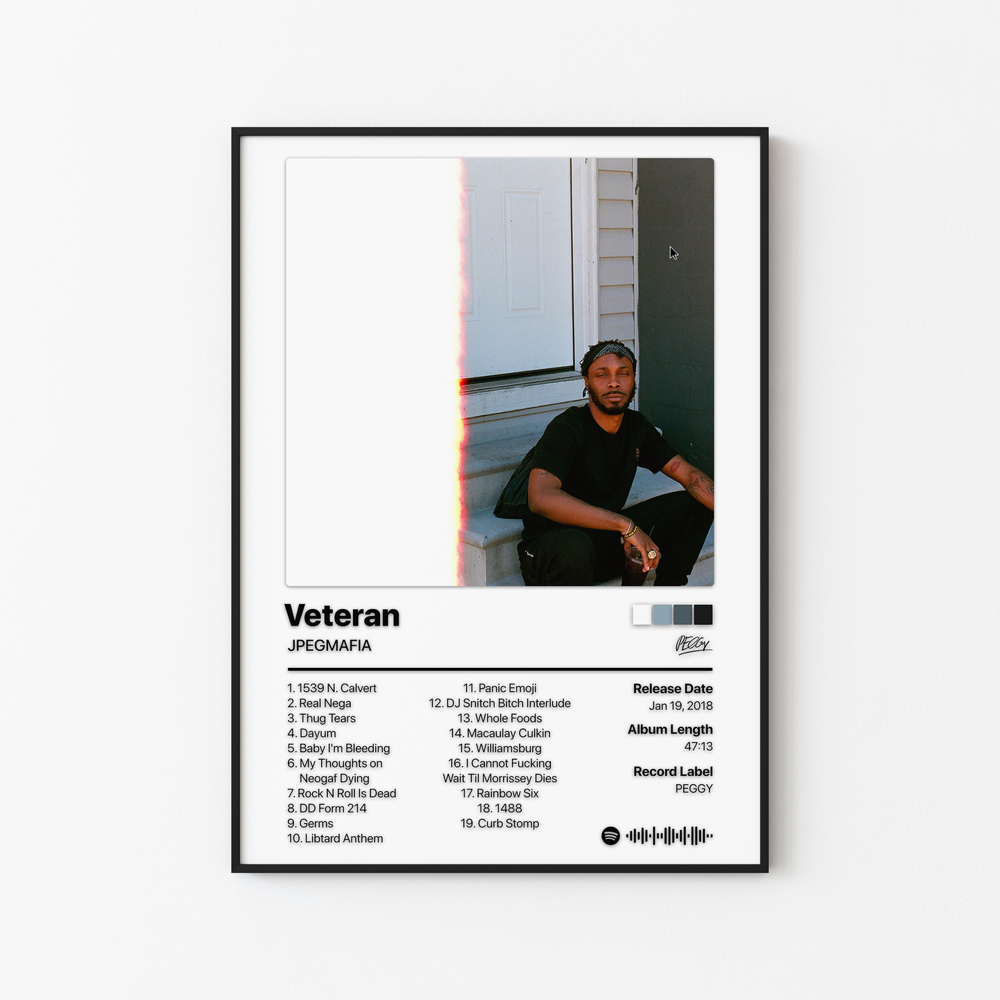JPEGMAFIA Veteran Album Poster
