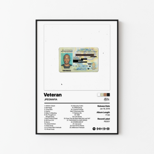 JPEGMAFIA Veteran: Director's Cut Album Poster