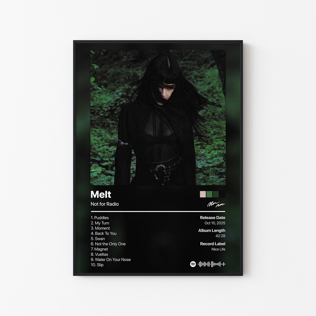 Not for Radio Melt Album Poster