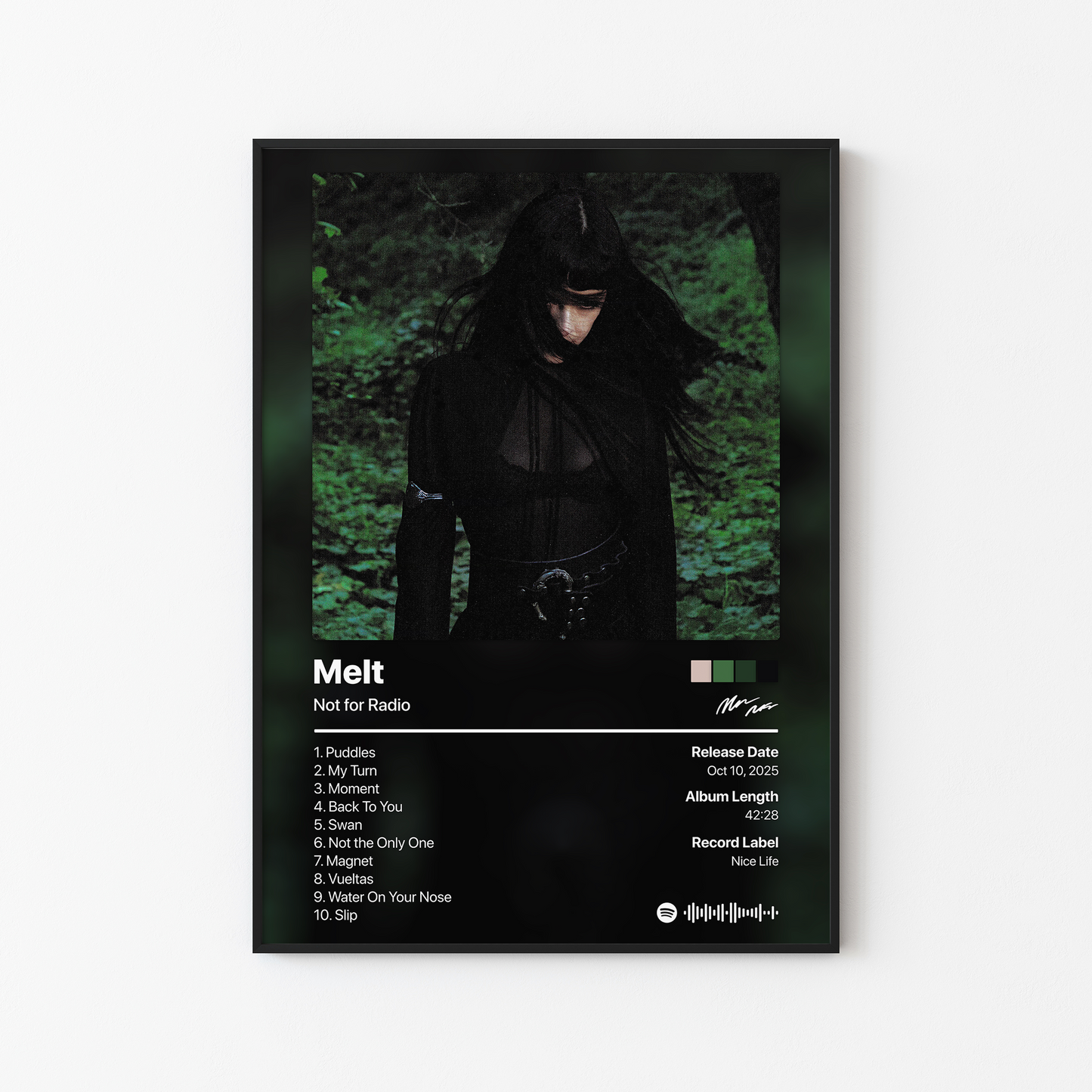 Not for Radio Melt Album Poster