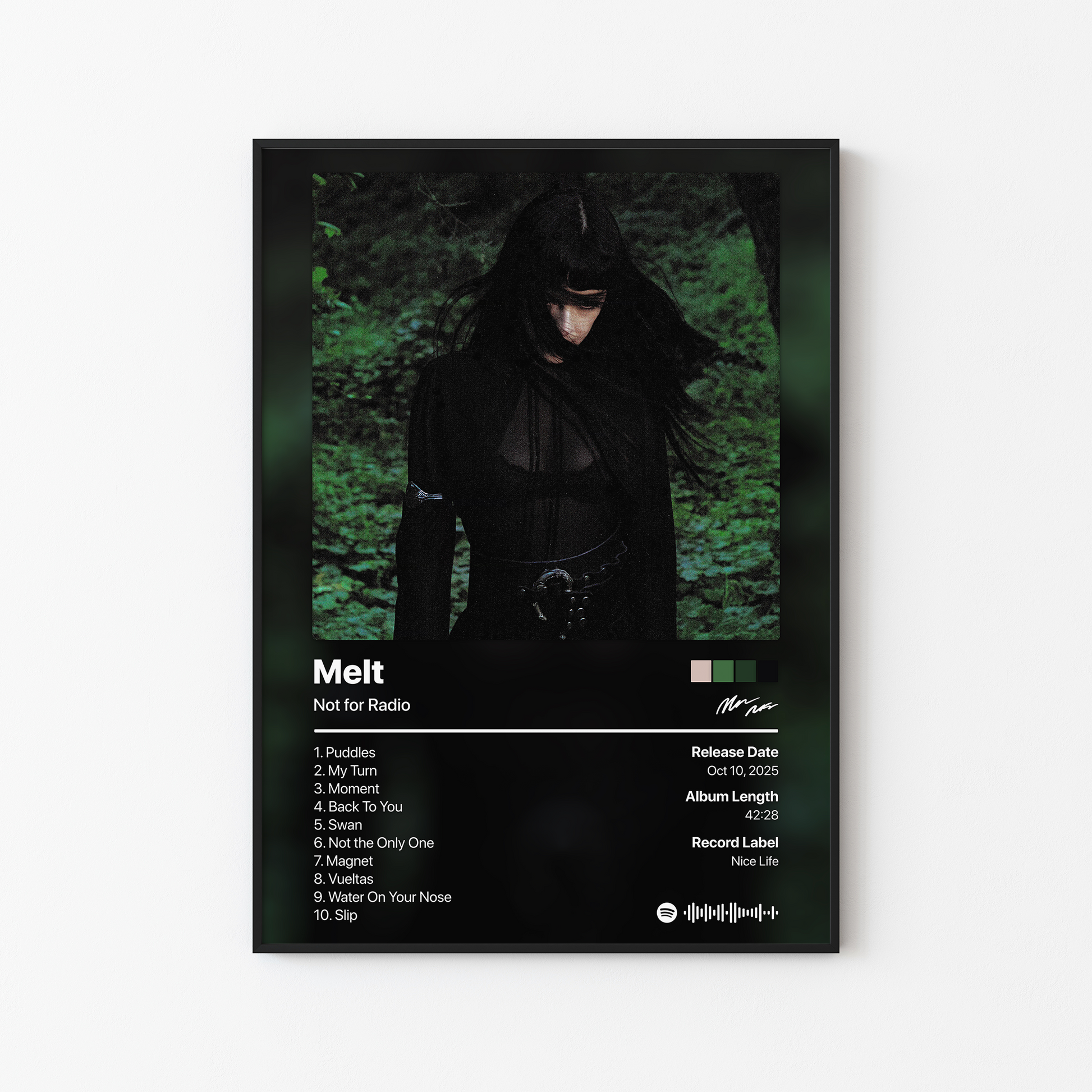 Not for Radio Melt Album Poster
