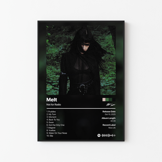Not for Radio Melt Album Poster