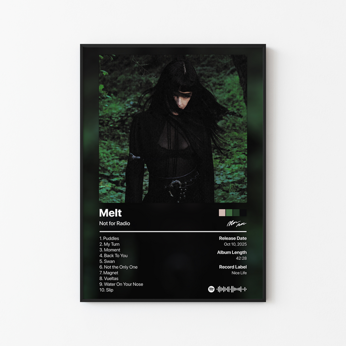 Not for Radio Melt Album Poster