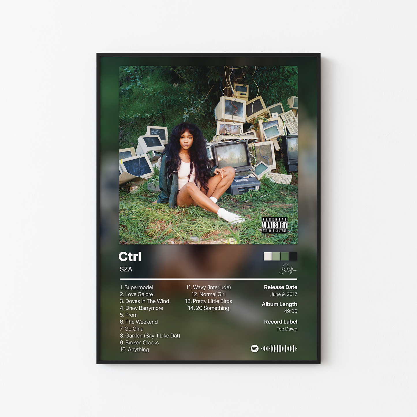 SZA Ctrl Album Poster