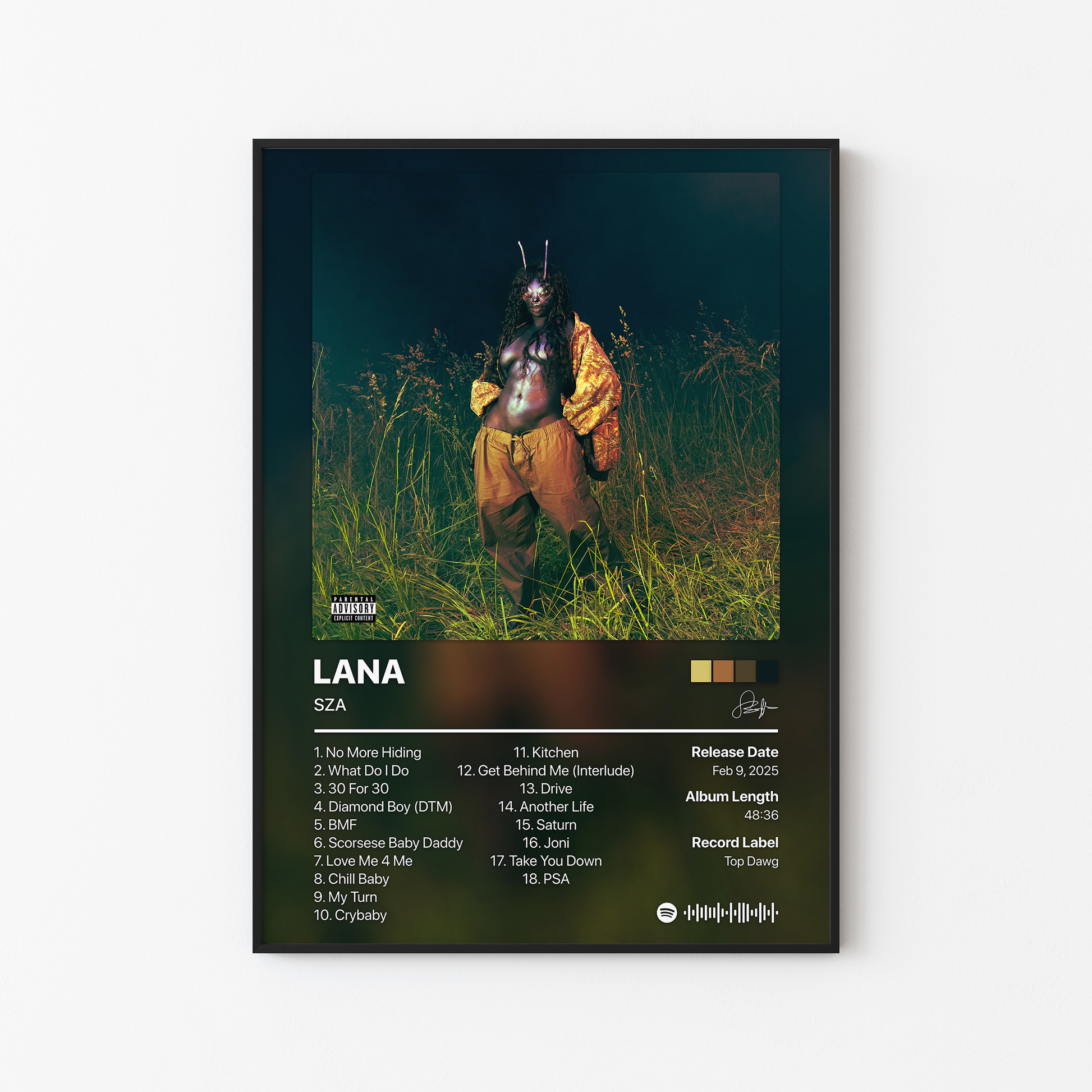 SZA SOS Deluxe: LANA Album Poster