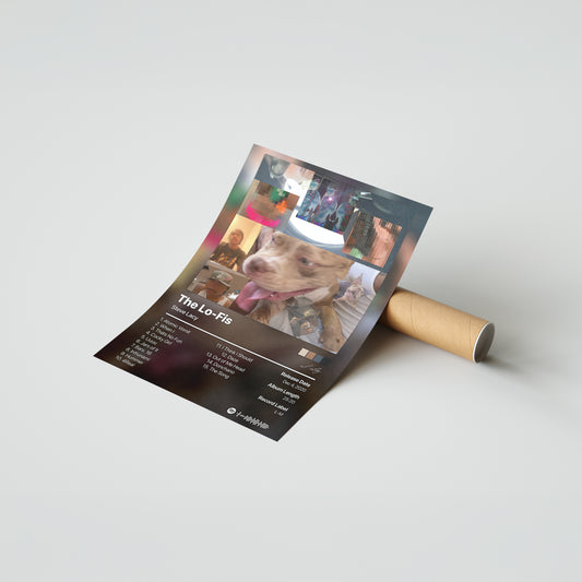 Steve Lacy The Lo-Fis Album Poster