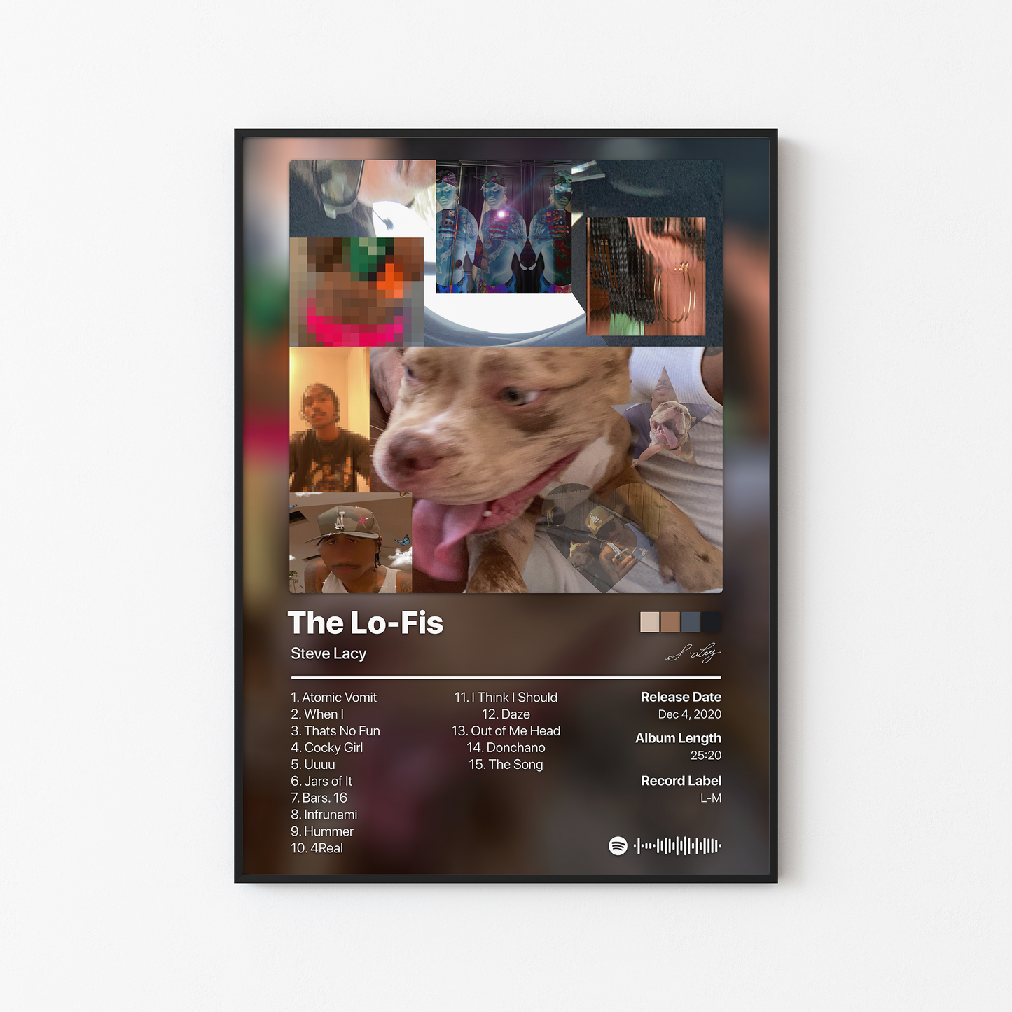 Steve Lacy The Lo-Fis Album Poster