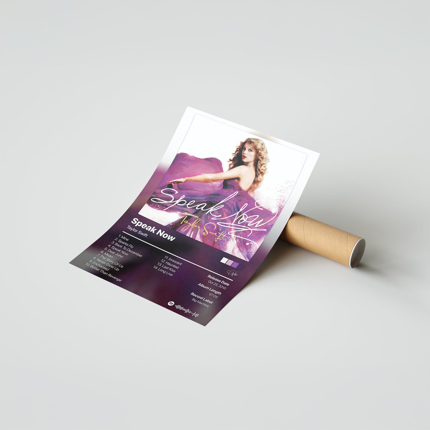Taylor Swift Speak Now Album Poster