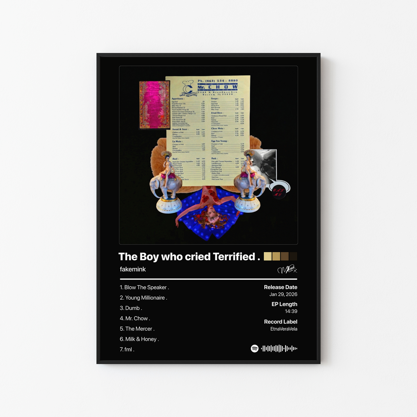 fakemink The Boy who cried Terrified Album Poster